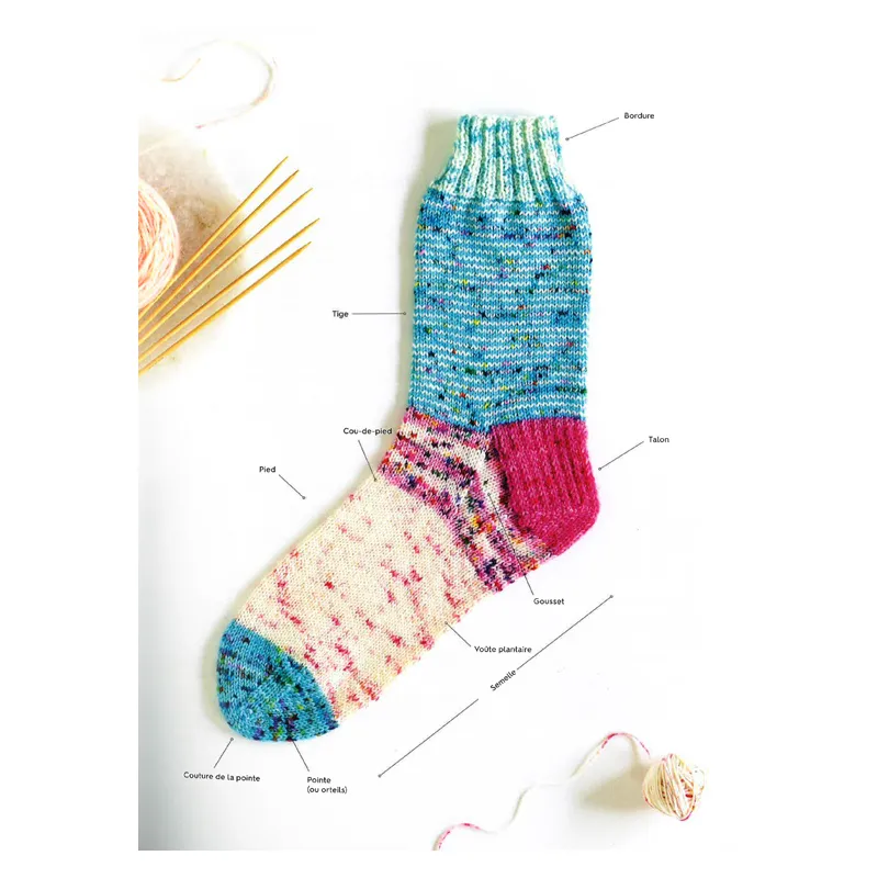 La bible des chaussettes au tricot