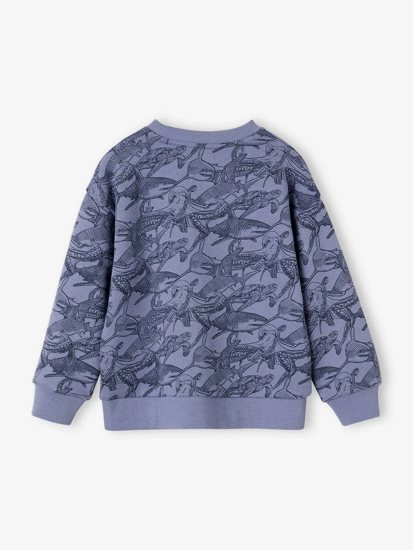 Sweat motifs crayonnés garçon bleu grisé - Vertbaudet