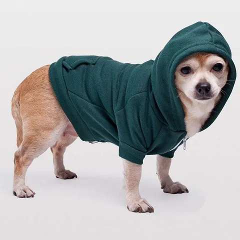 Sweat-shirt à capuche pour chien - gris - F997 